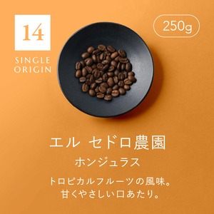 [14] エル セドロ農園＊ホンジュラス／250g