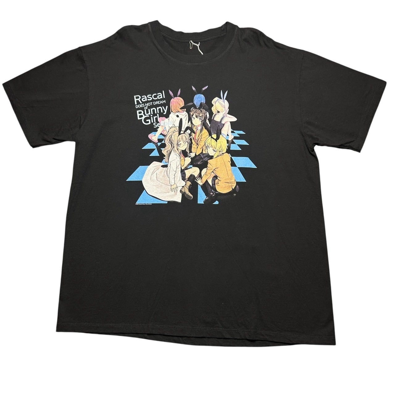 CLANNAD T-shirt | 古着屋 極楽家