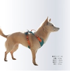 ※予約【puppygallery公式】 Go mentum harness S-M