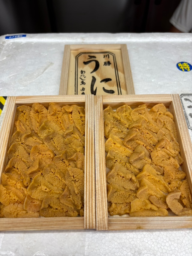【上】【入手困難】由良の赤ウニ/淡路島/本州ウニの最高峰/70g前後/究極のウニ
