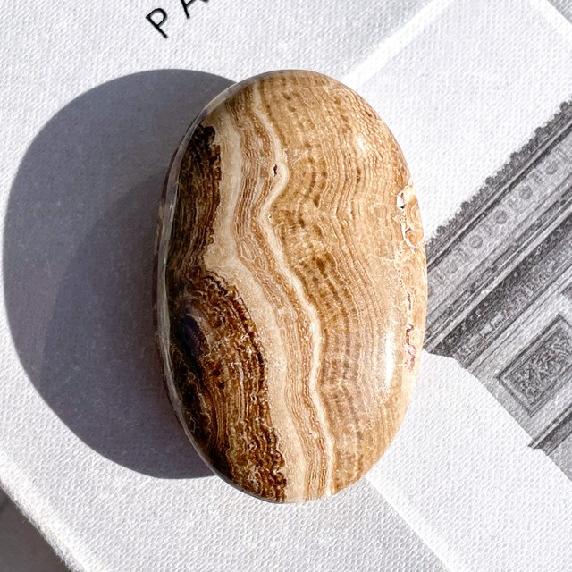 Chocolate Calcite Palmstone ✧ チョコレートカルサイト