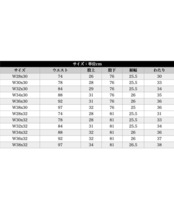 Dickies EISENHOWER DOUBLE KNEE WORK PANTS 「Bad System, Bad Riders」［HSP003］