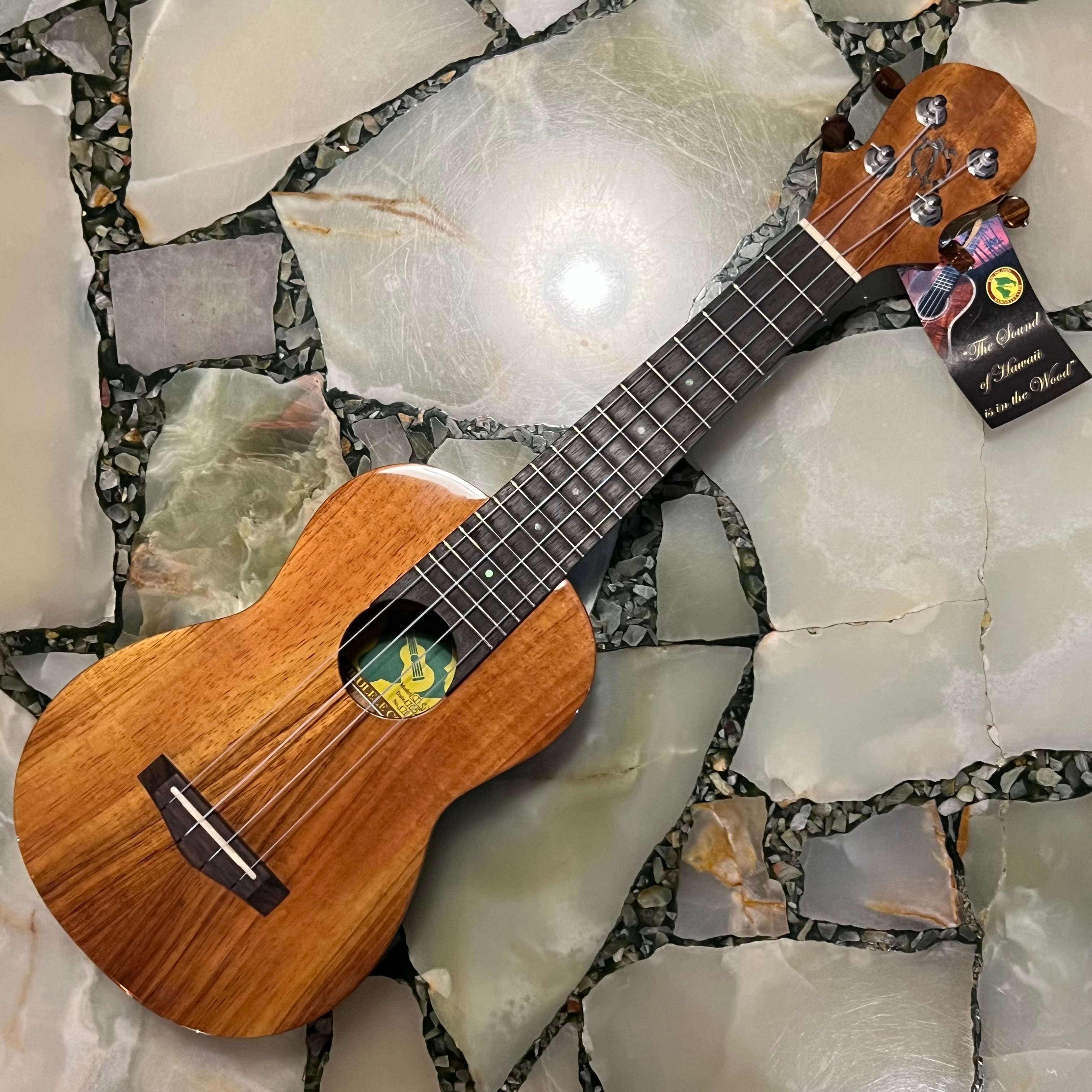 L.R.Baggs ウクレレ専用アンダーサドルピックアップ FIVE.O 当店取付