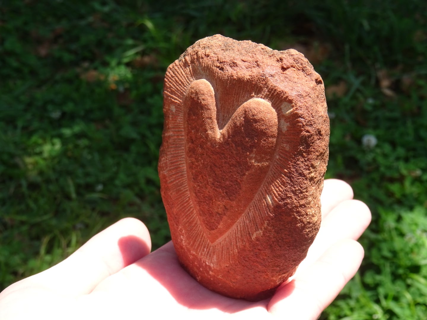 セドナ　レッドロック レッドロック・カントリー、セドナへ(前半)