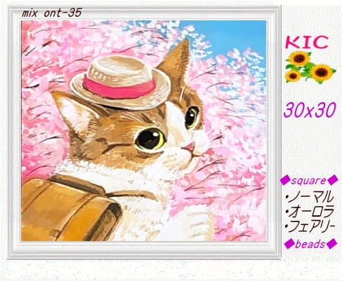 【30角】mix-ont35 ノーマル・オーロラ・フェアリー入30ｘ30 四角型 のダイヤモンドアート