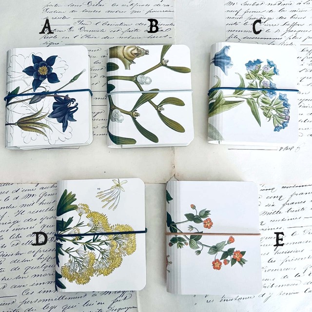 アンティーク植物図鑑 リメイク ミニアコーディオンファイル / Antique Plant Illustrated Book Remake