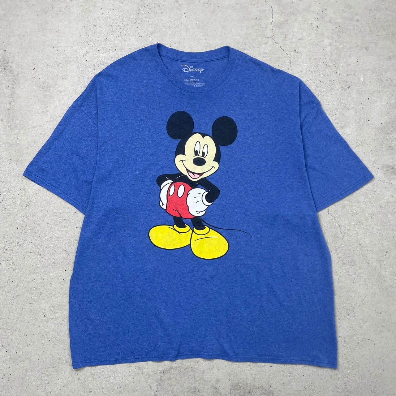 DISNEY ディズニー MICKEY MOUSE ミッキー・マウス キャラクター 