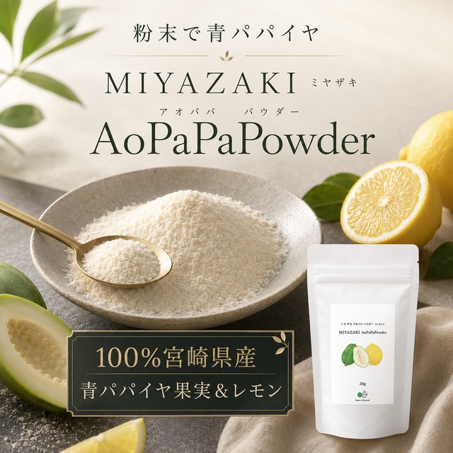 ＼手軽に青パパイヤ粉末／宮崎青パパイヤパウダー100g ④青パパイア果実＆レモンタイプ