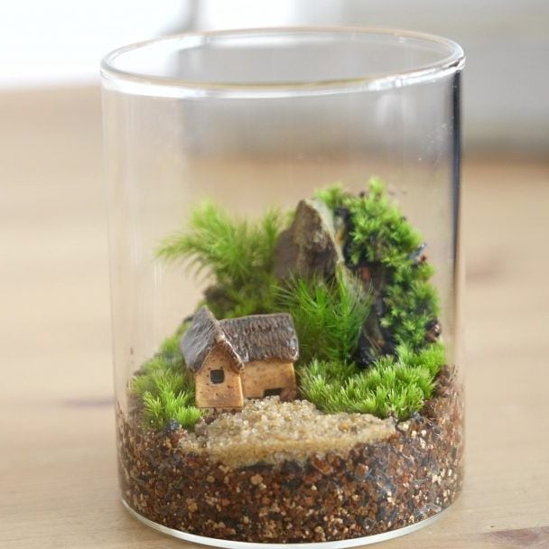 作製キット】家のフィギュア付き苔テラリウム ◇動画解説付き | 苔