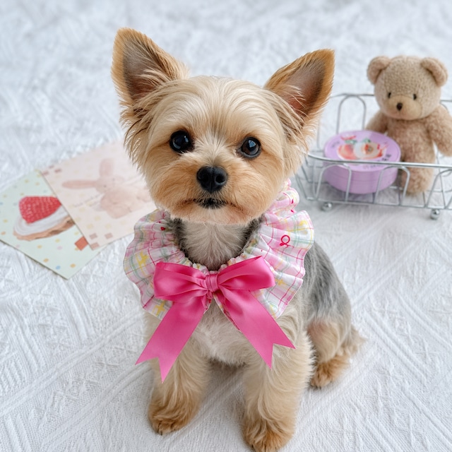 cotton ribbon scrunchie 4カラー