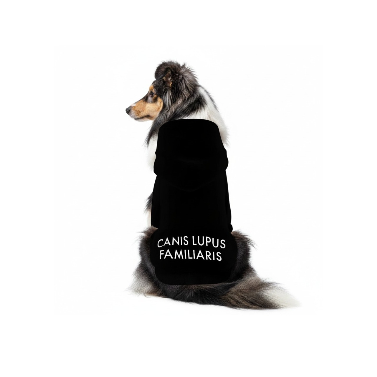 【受注生産・オリジナル】Dog Hoodie BLACK
