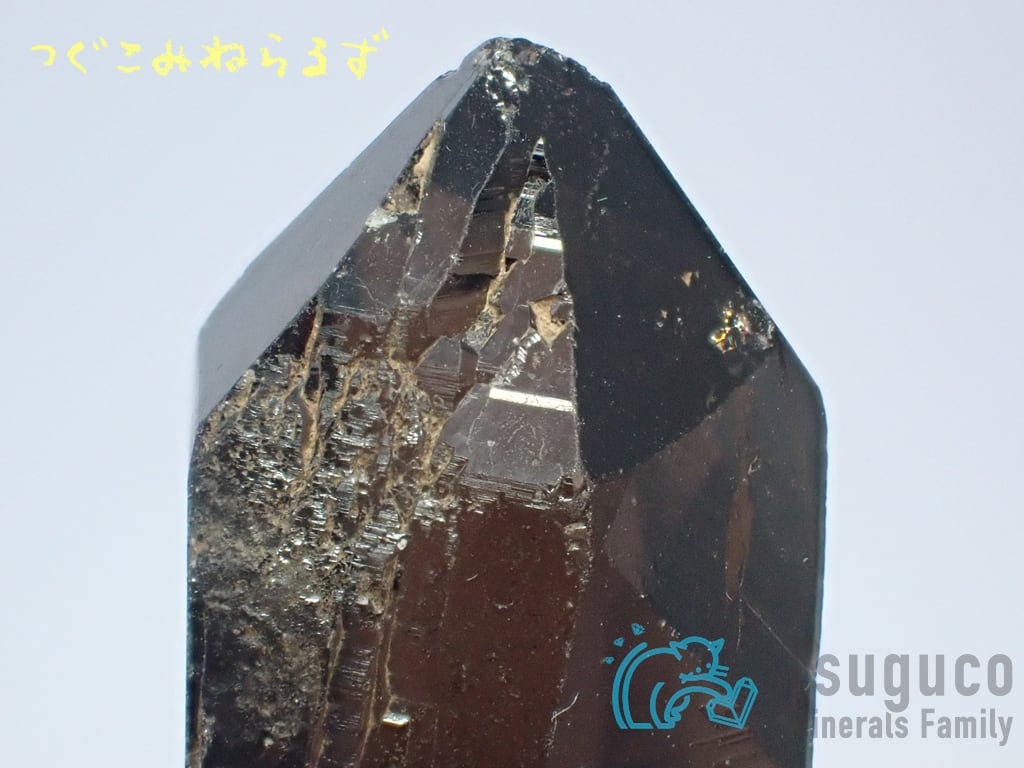 スモーキークォーツ 煙水晶 Smoky Quartz ネパール TM-0037