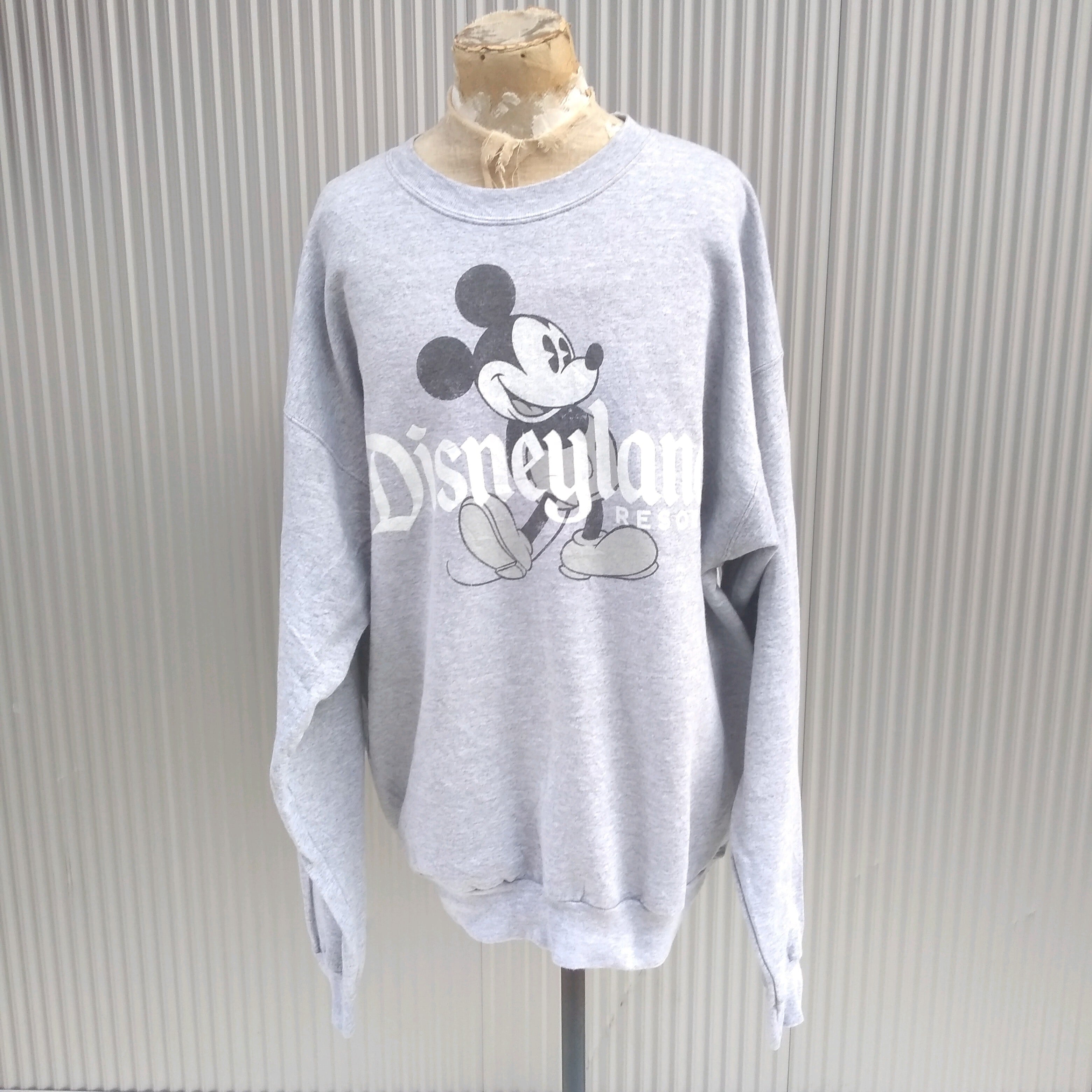 Disney Parks by Hanes knit