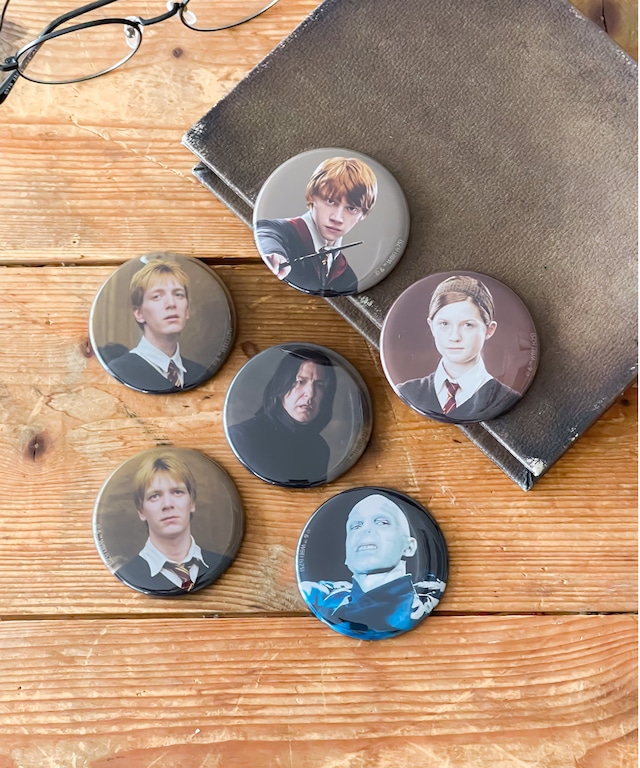 ☆受注生産☆　8/3(月)以降に順次発送予定☆F258190-02_Harry Potter×Flapperブラインド缶バッチ②