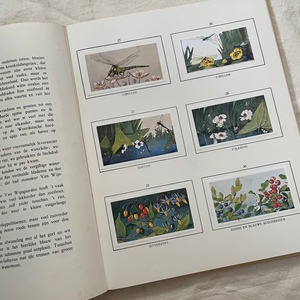 オランダの動植物の本