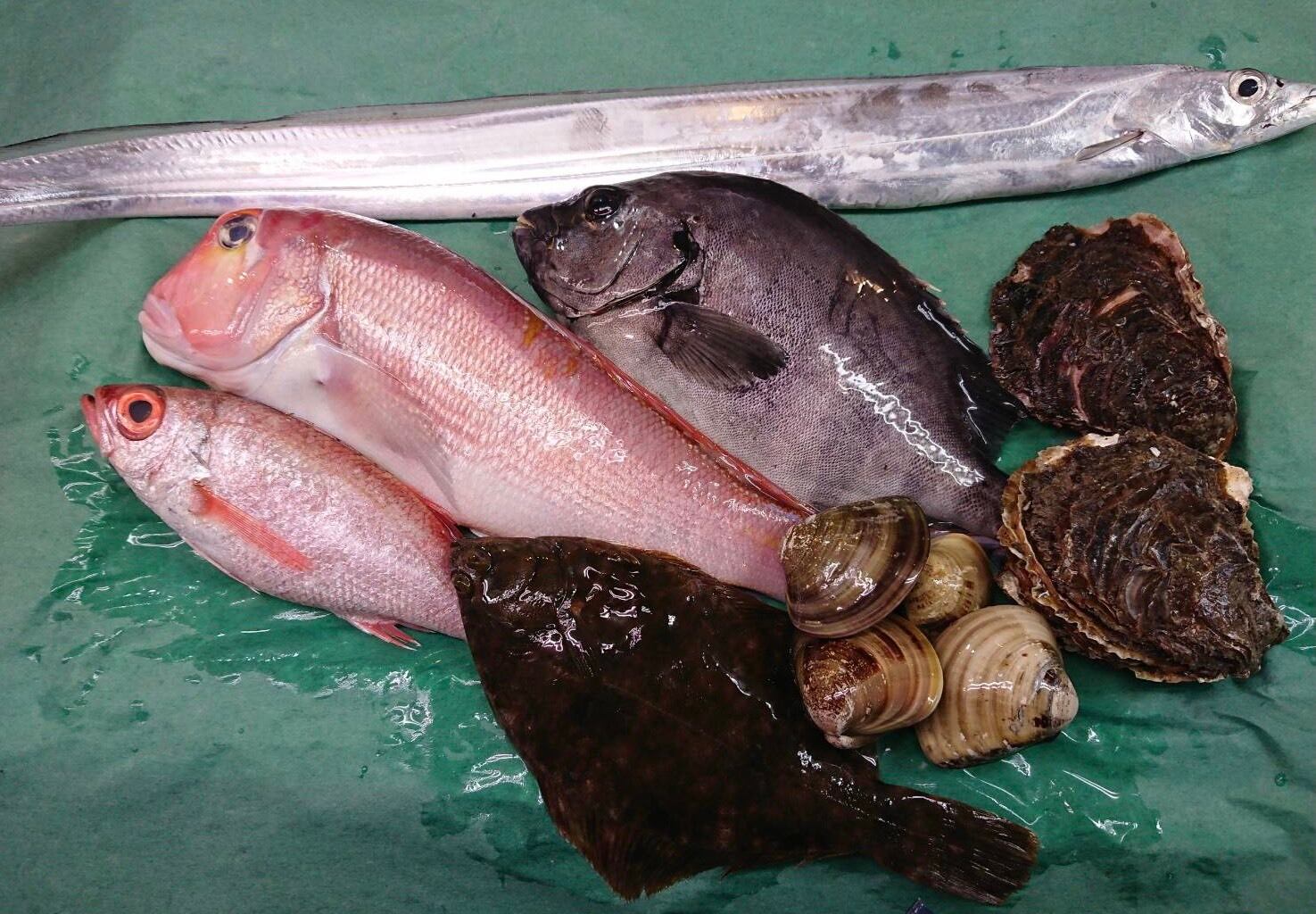 あけびのツル （本物） 少量ずつでもオッケー