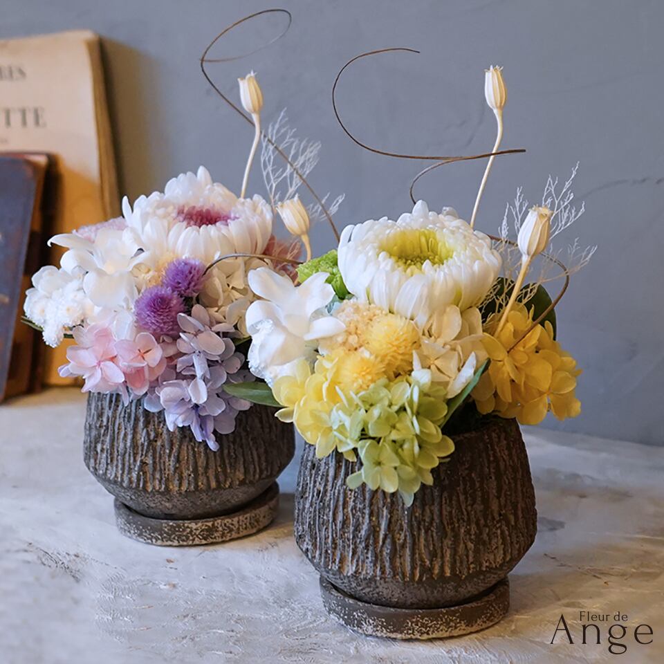 Fleur de Ange