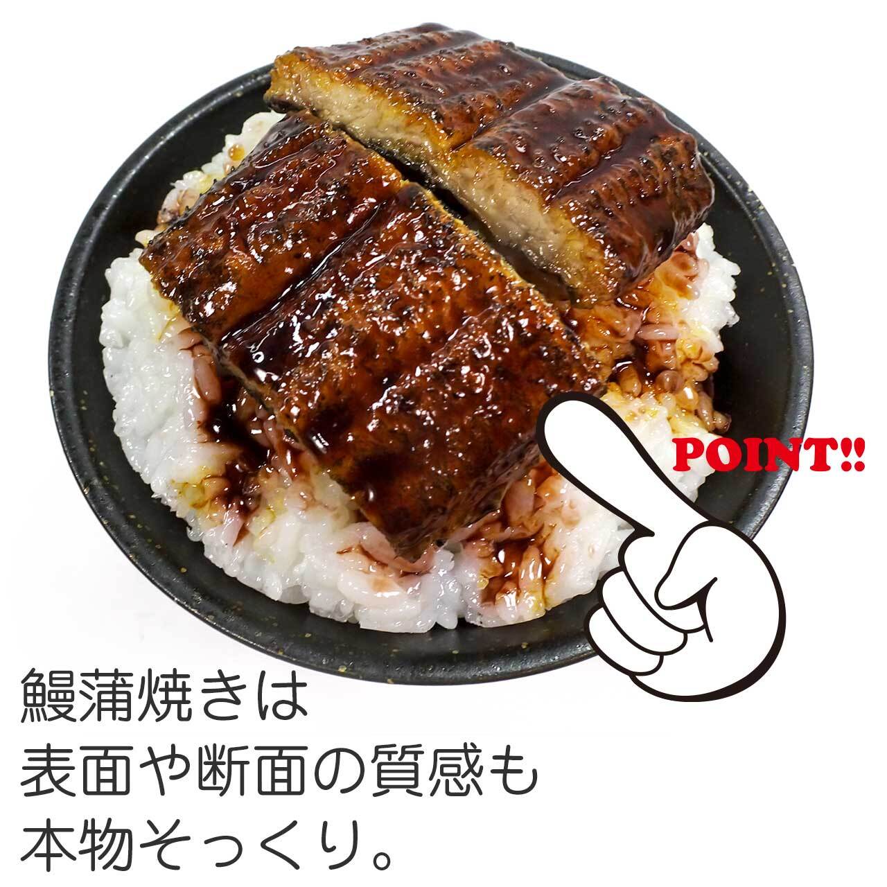 鰻ご飯 食品サンプル ディスプレイ用 ココナッツ・アクセサリー