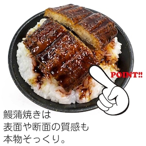 鰻ご飯 食品サンプル ディスプレイ用