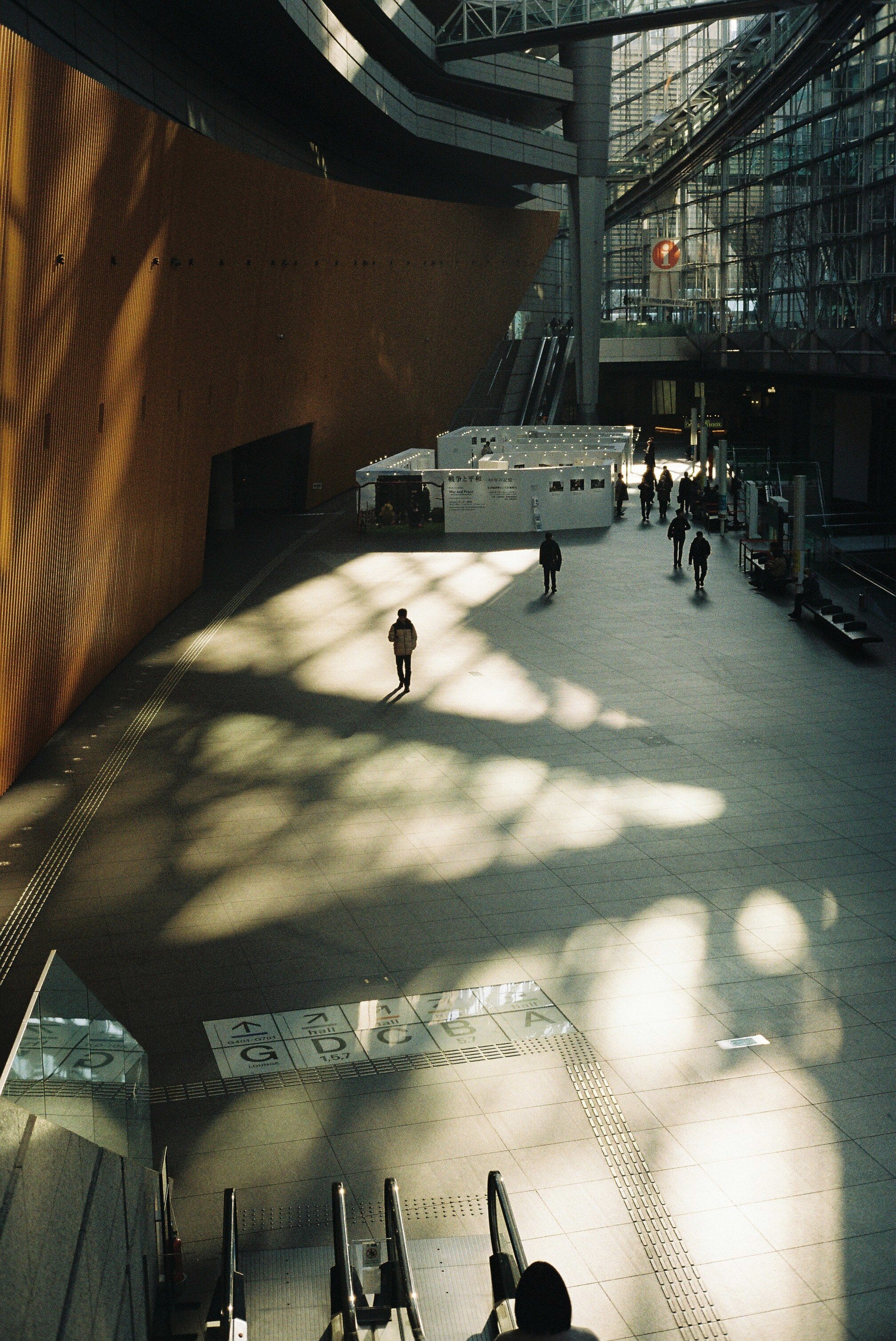 作例ブログ】OLYMPUS 35SP / G.Zuiko 42mm F1.7 整備済 ネガフィルム付