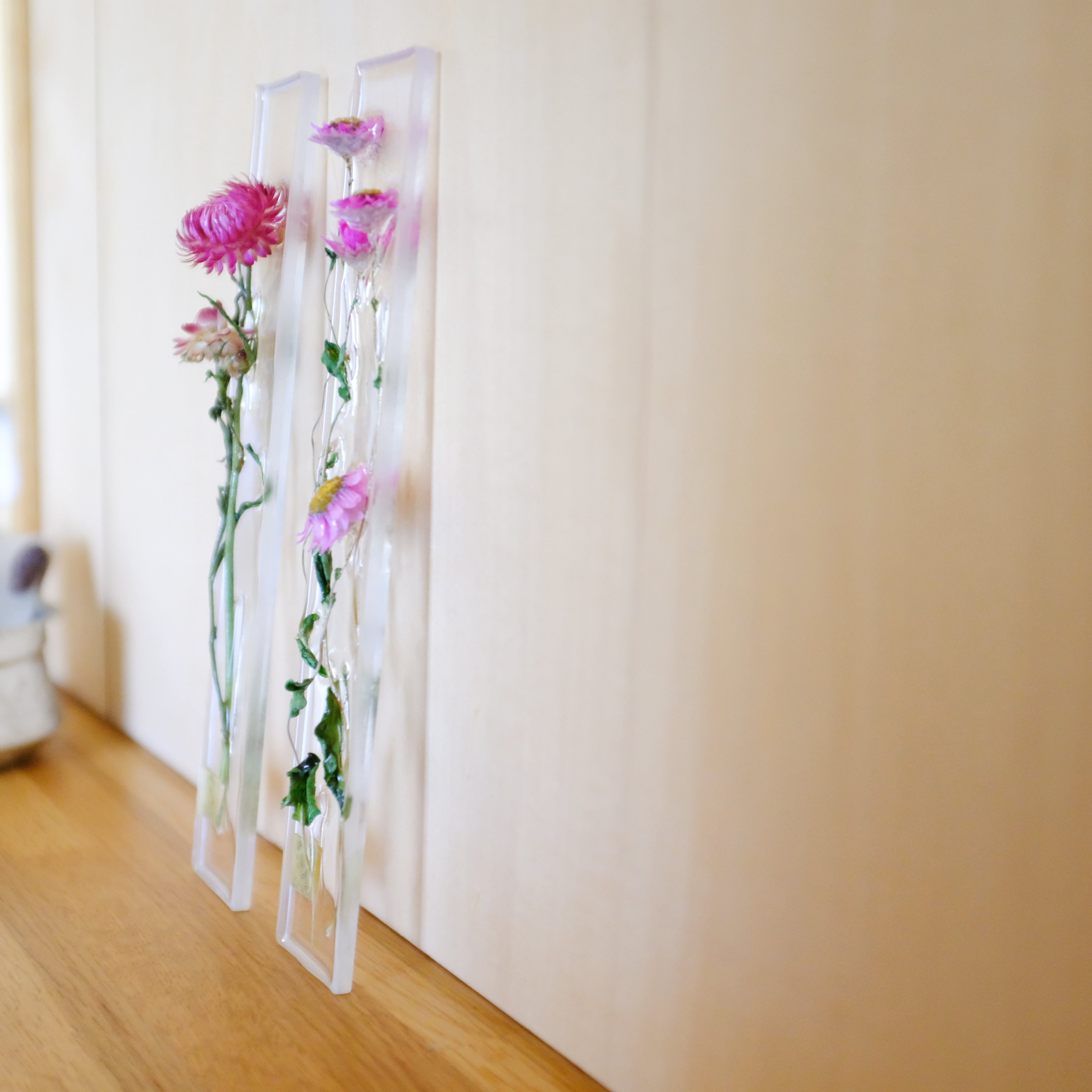 dried flower S ローダンセ ホワイト | KieKa