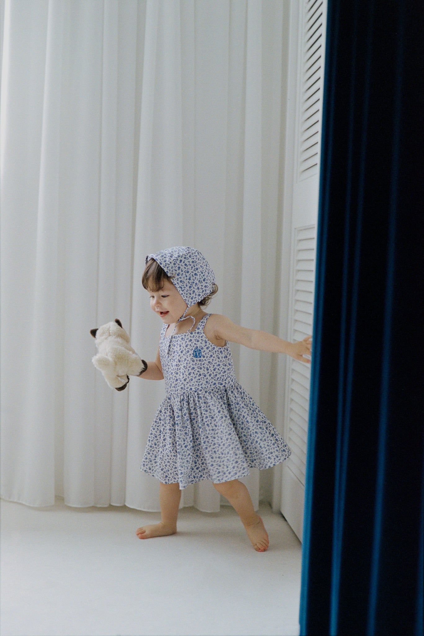 Dress (Flower) | House on the Hill