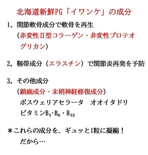 イワンケ