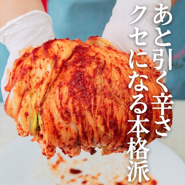 【冷蔵発送】白菜キムチ１ｋｇ（辛口）（株付き・カットなし）