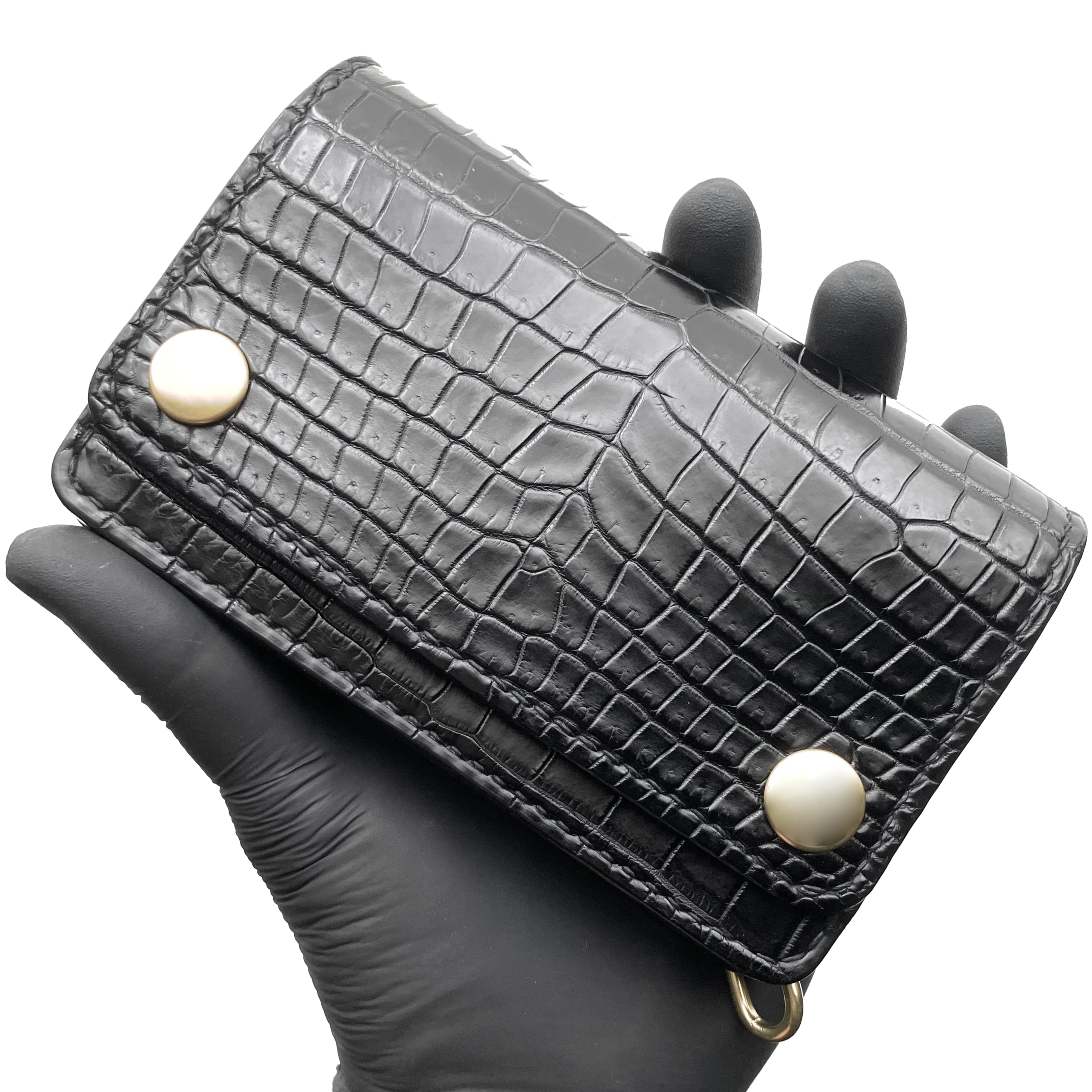 MasterPiece《POROSUS》 | KAIJI ENDO