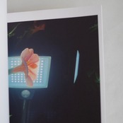 PERSONAL MATTERS PROJECT N°14 PHOTO BOOK / COLOR AND FORM