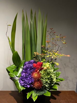 ARRANGE（COLORFUL）