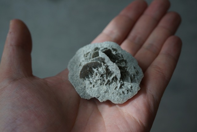 スペイン グラナダ産デザートローズ Desert Rose 1423