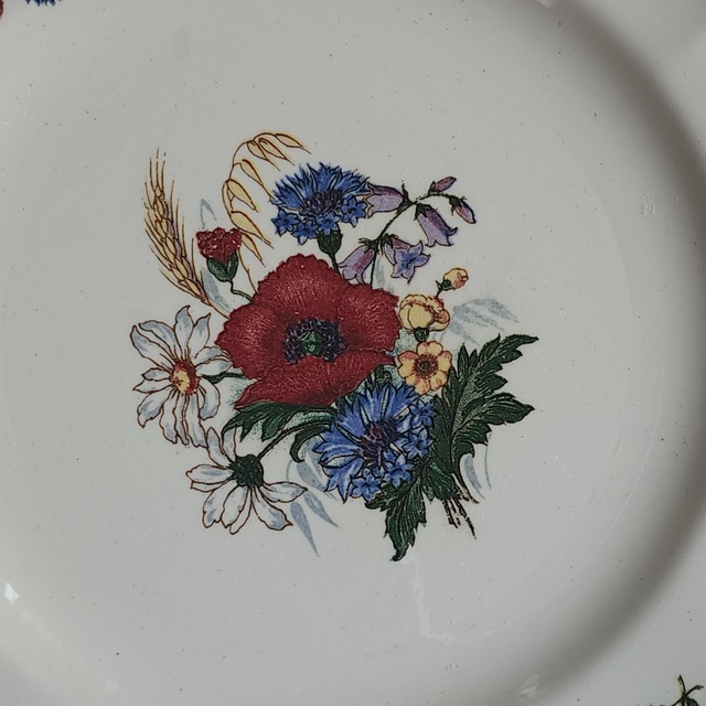 Sarreguemines サルグミンヌ デザートプレート /  Agreste#1