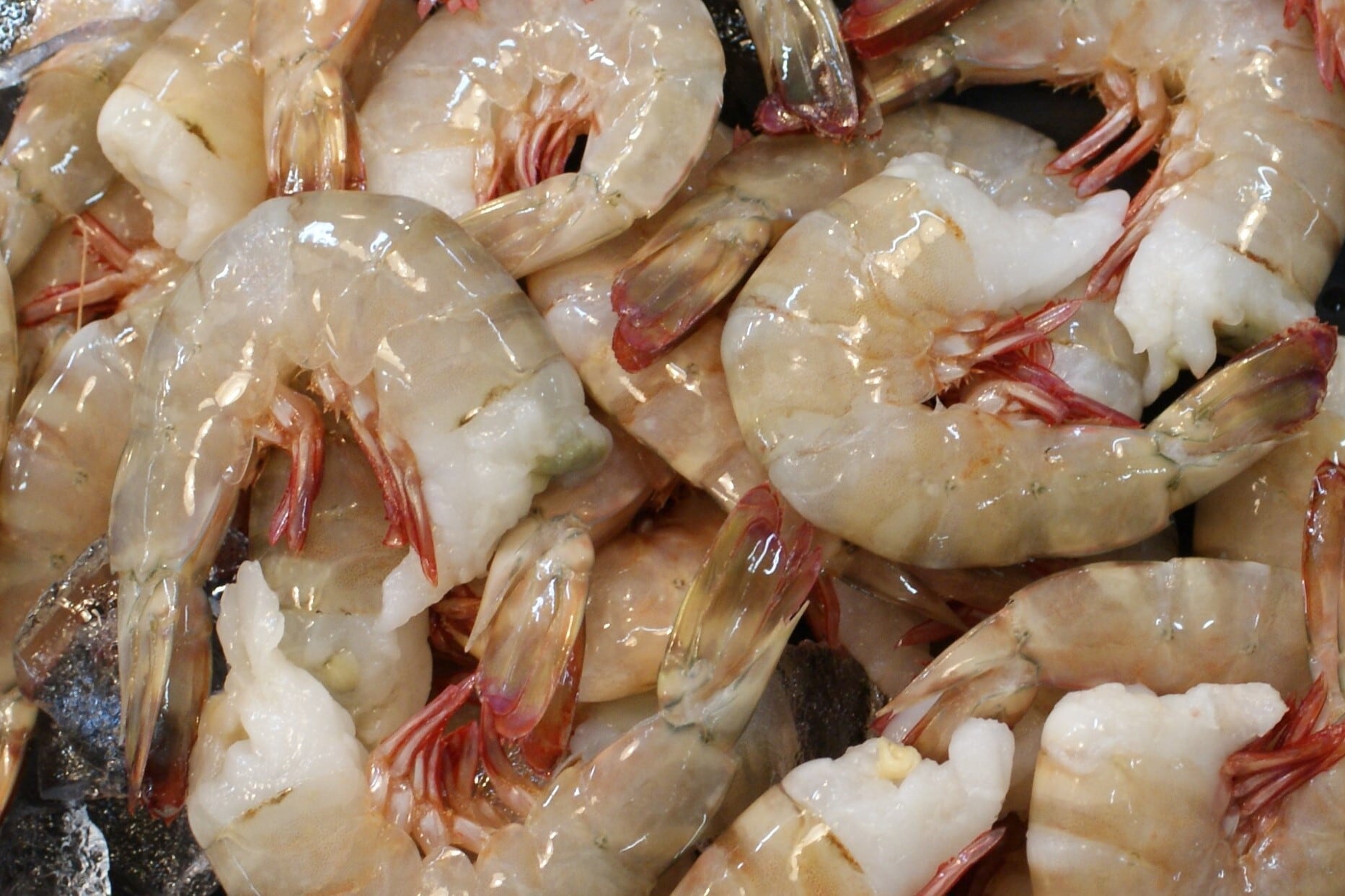 えび セレクトフーズ通販本店 / 海老旨煮2L（ブラックタイガーえび15尾