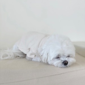 【即納】EYOU ワッフル ハイネック ベスト｜ホワイト