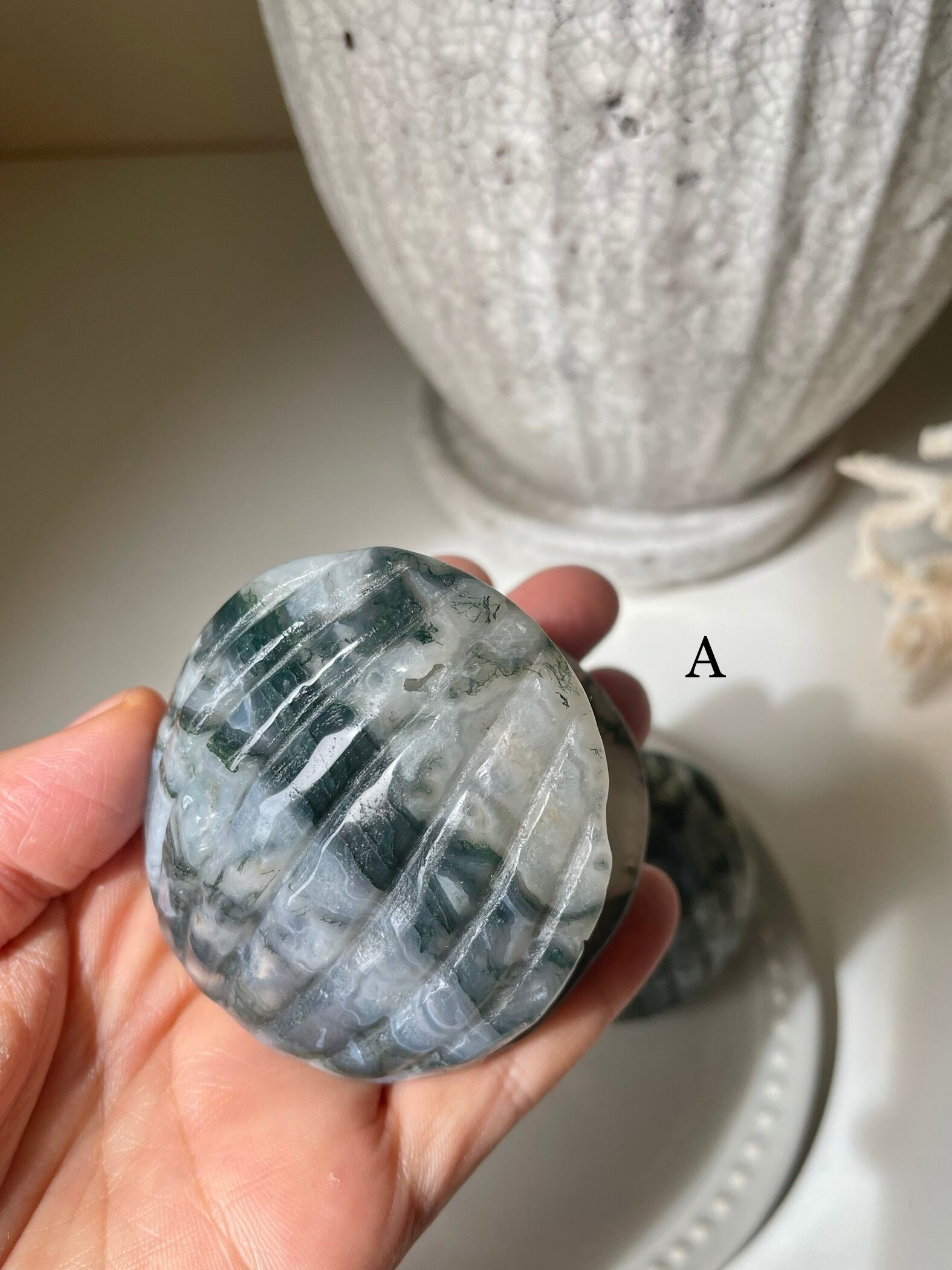 Moss Agate Shell / モスアゲート　貝