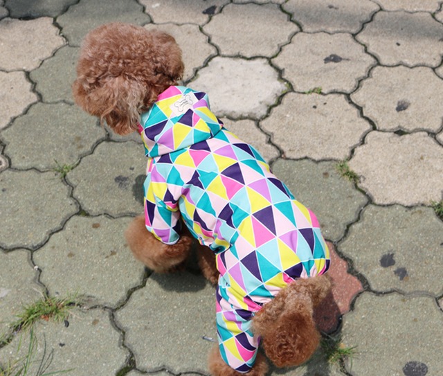colorful raincoat S ~ 2XL / 犬服 新作 レインコート ドッグウェア 小型犬 中型犬 ペット用品 ワンコ服 b30