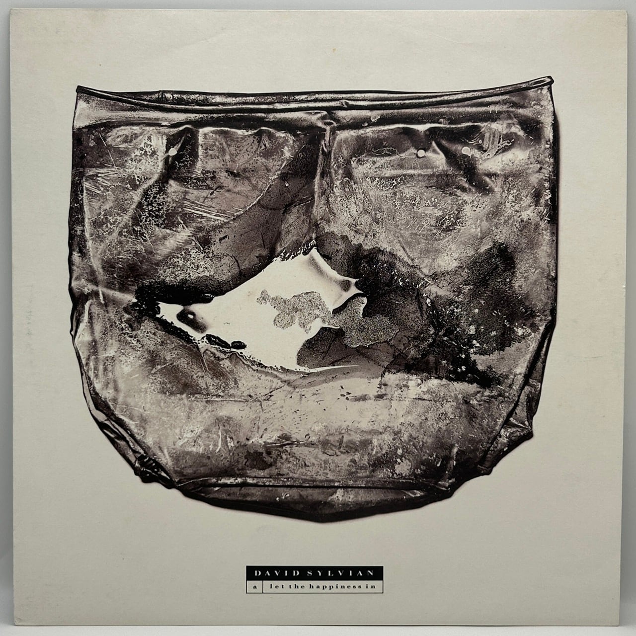 【12EP】David Sylvian – Let The Happiness In