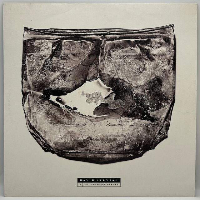 【12EP】David Sylvian – Let The Happiness In