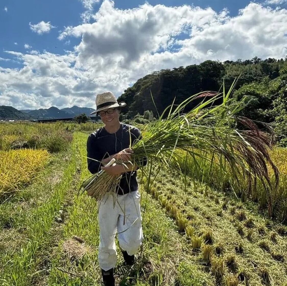 くすだ農園 「イセヒカリ」玄米10kg | PAY ID