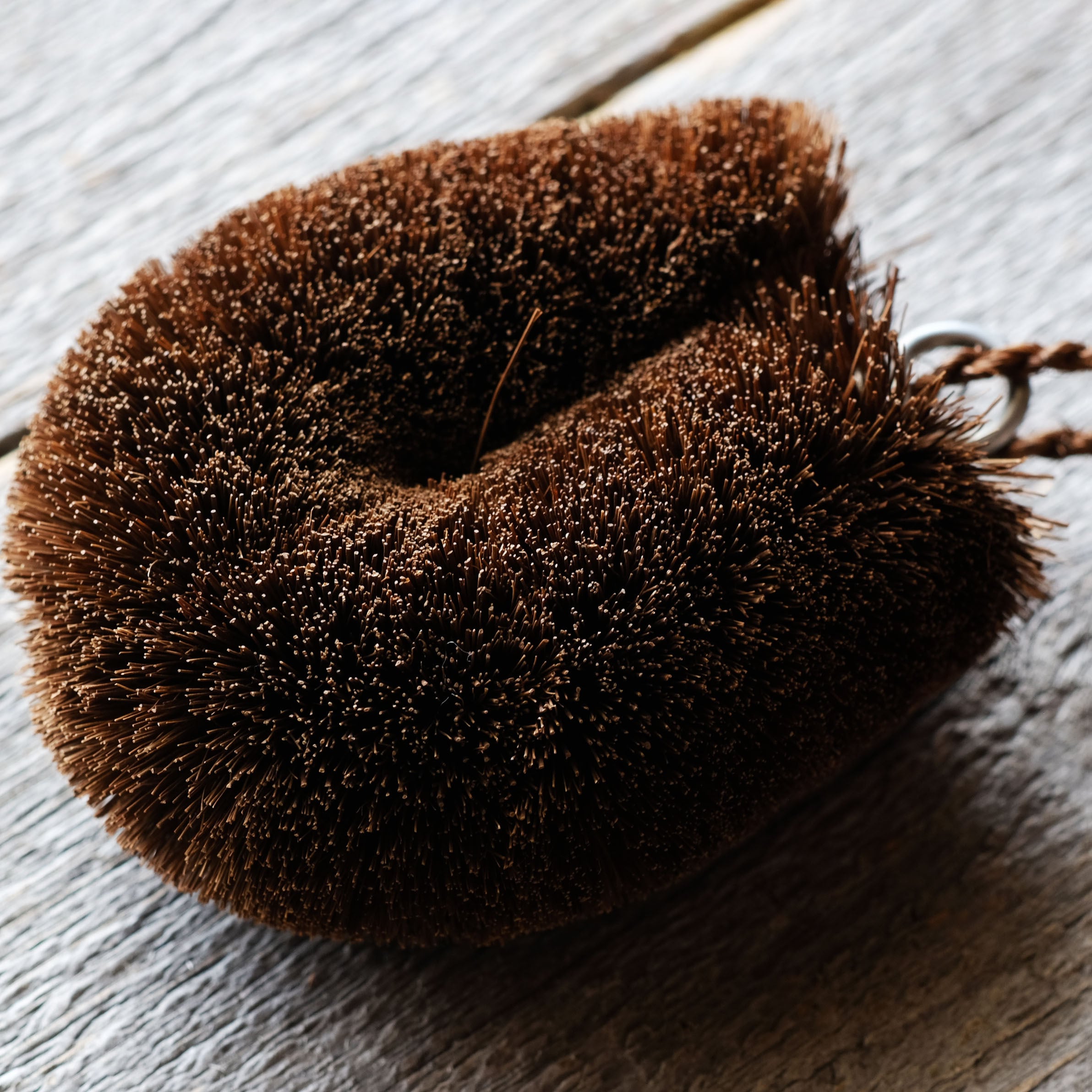 ねこのこたわし（丸型ミニ）/ /棕櫚の引っ掛け紐・特製真鍮タグ付き