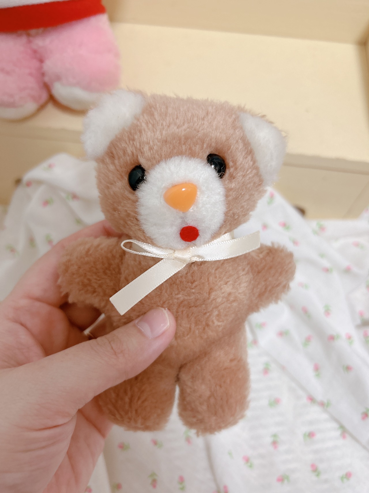animalsの画像02