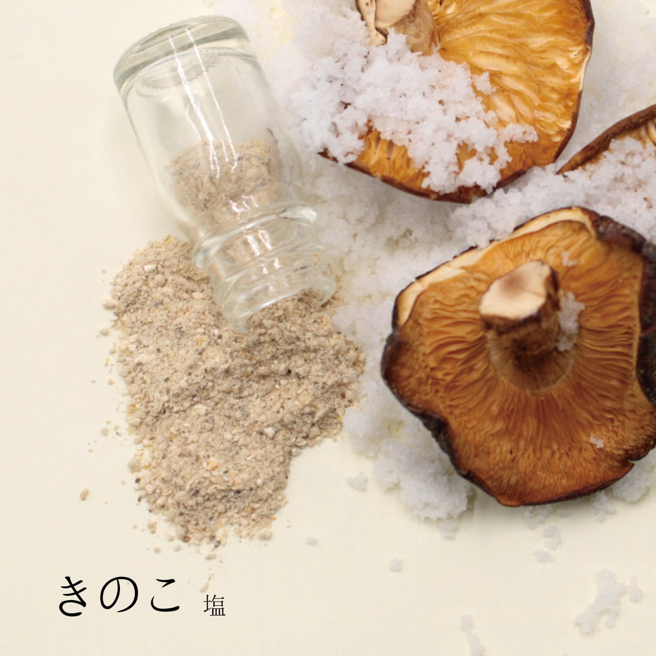 秋田県産 天然きのこ 10種類 MIX 塩漬け 塩蔵 秋田県産 天然きのこ 10種類 MIX 塩漬け 塩蔵 【公式通販】