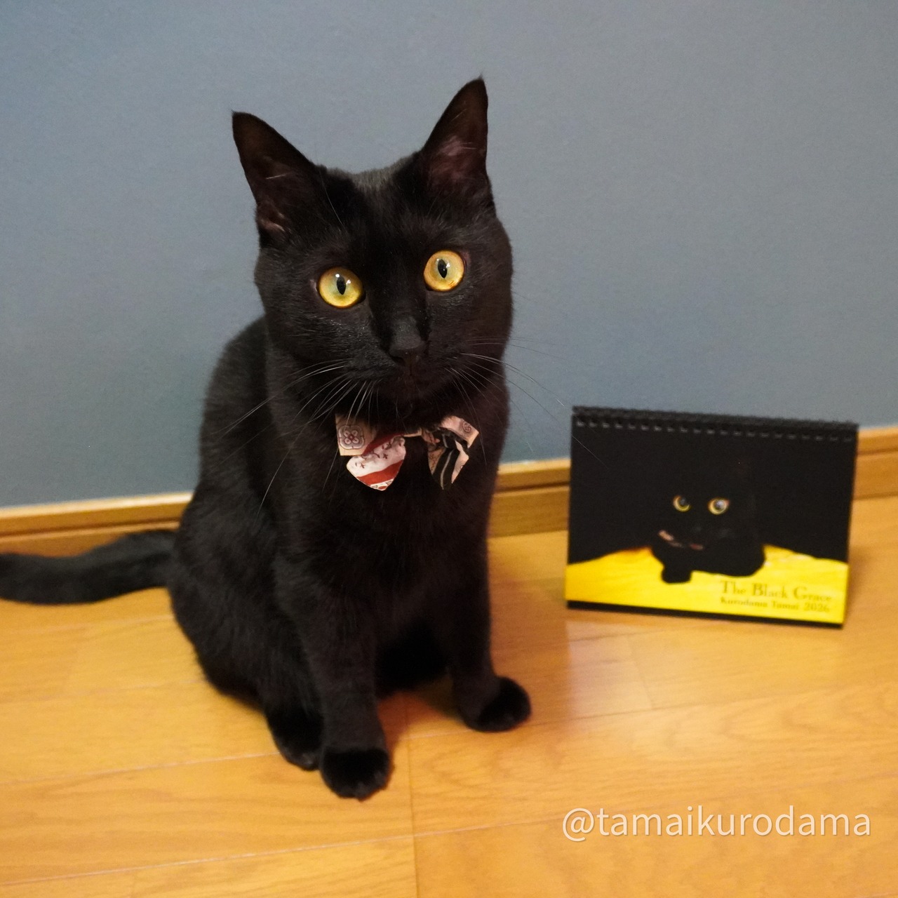 ★黒猫くろだま2026年卓上カレンダー(B6サイズ）