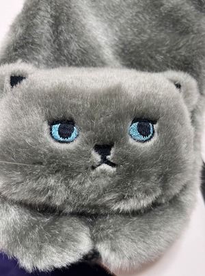 cat scarf grey blue eyes