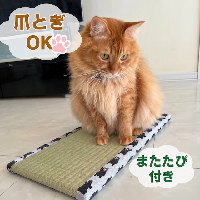 熊本県産高級い草100% お猫様専用ミニ畳3枚セット くまモン柄 | NIHONT