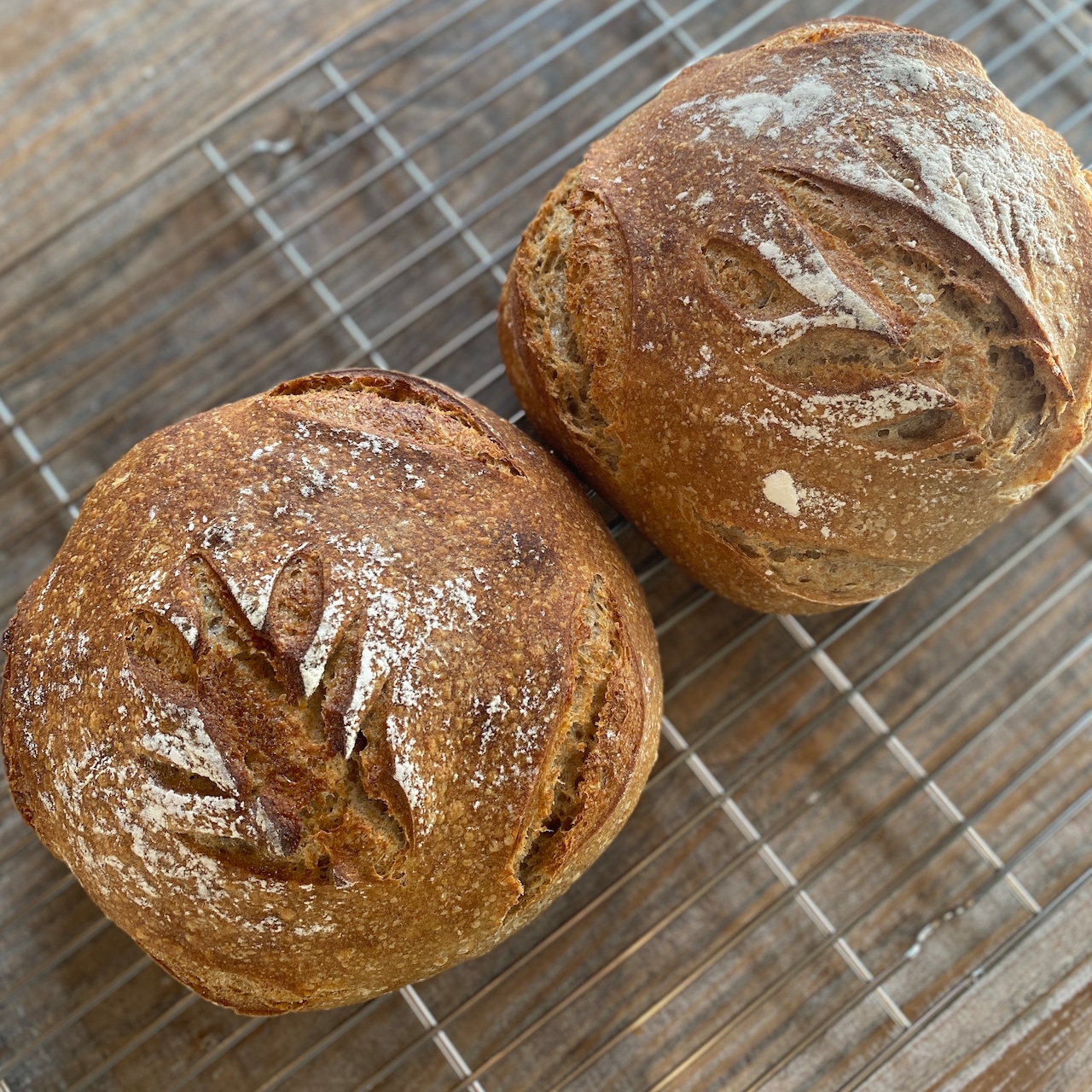 サワードウブレッドの毎月便　ライ麦2ホール　　天然酵母　ハード系のパン　【水・日　発送】【Bakery】