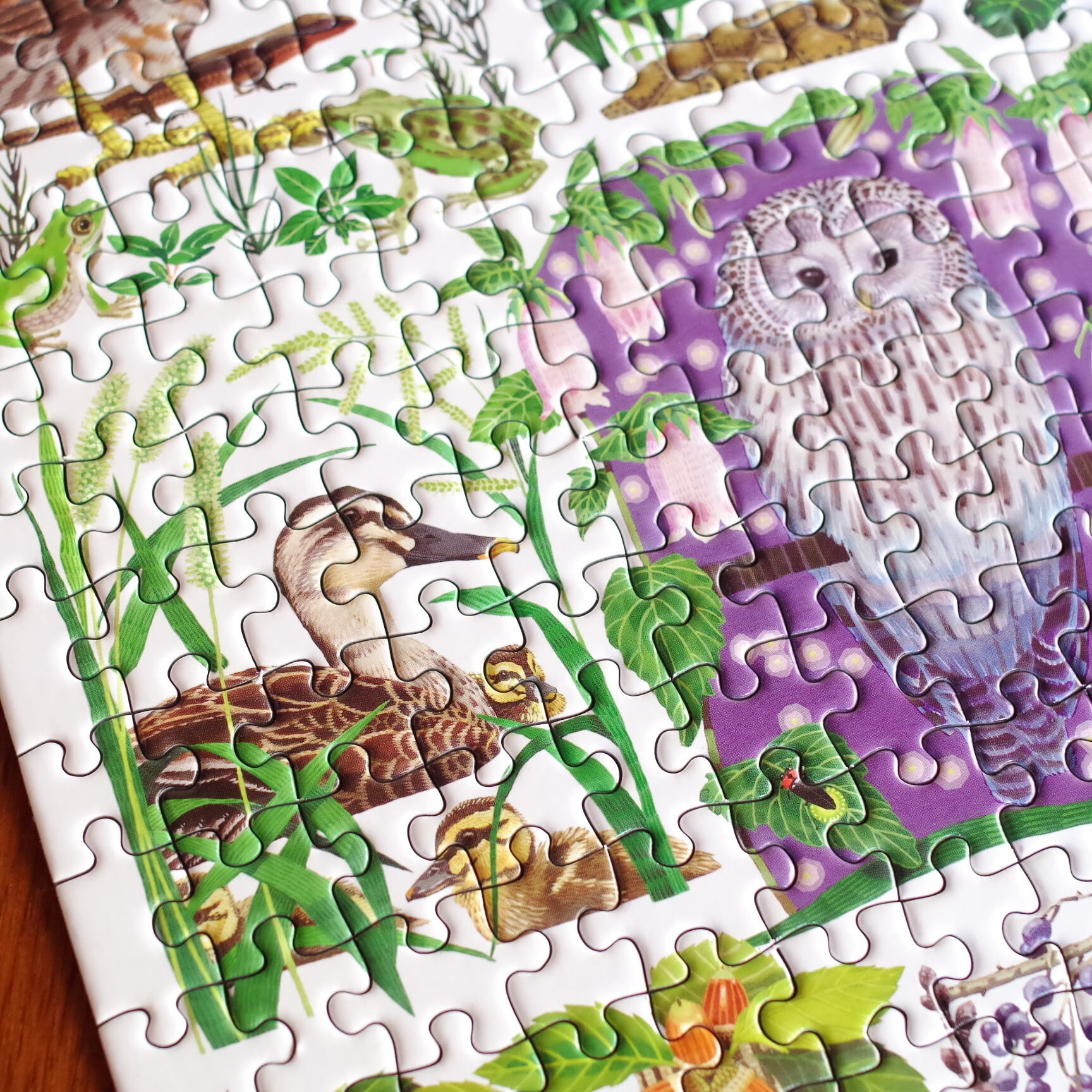 ジグソーパズル 里山の野鳥 300ピース | 木のおもちゃ専門店 おもちゃ