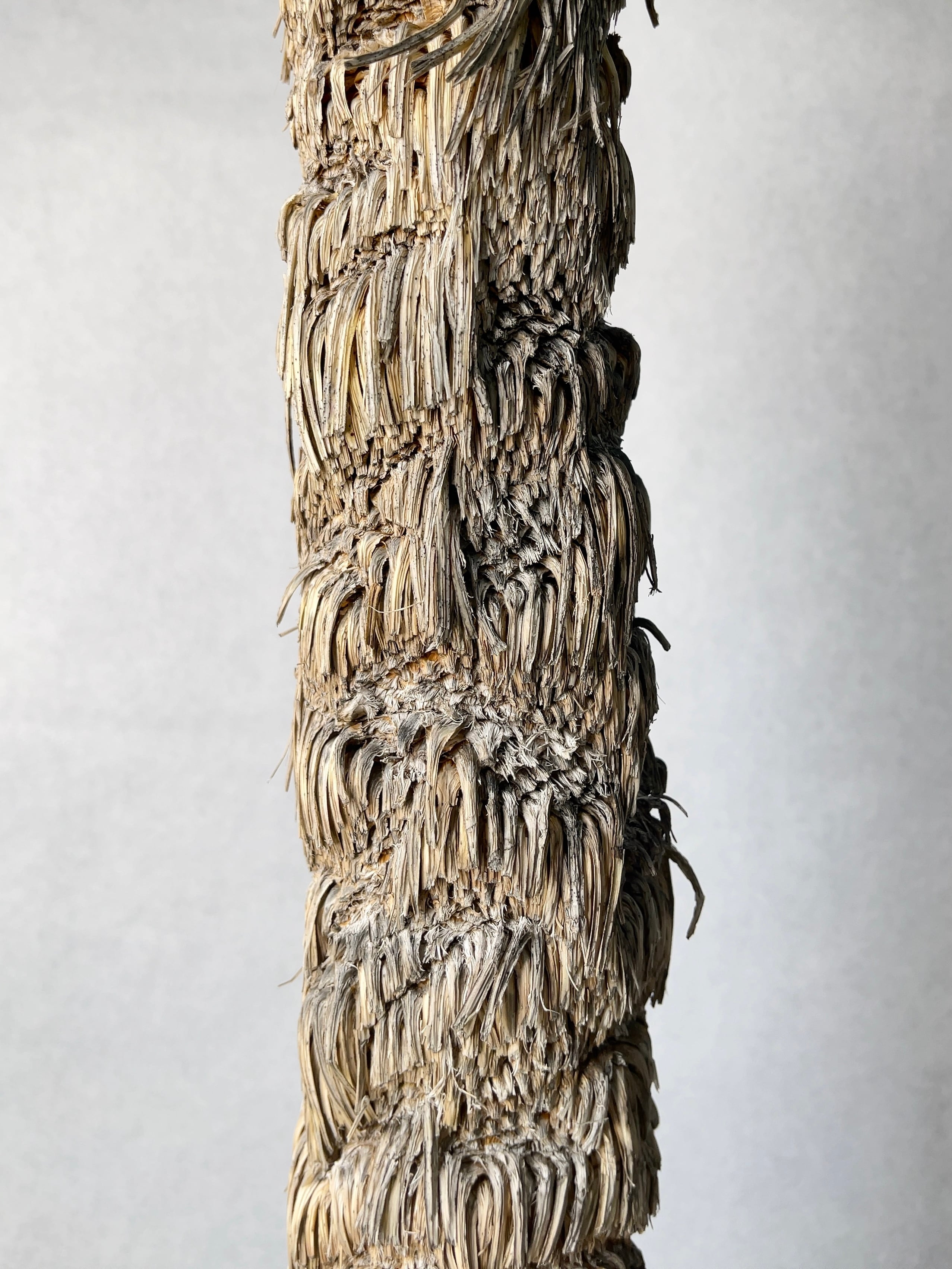 1377df79376a797bdc2cefbcb56683