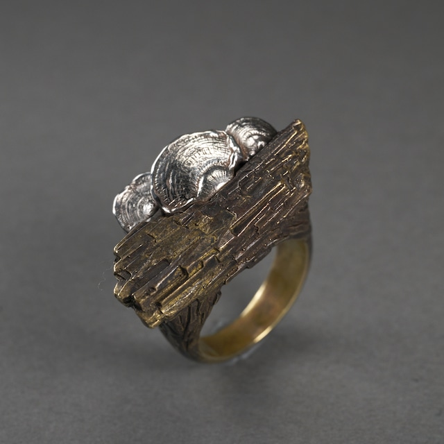 ウチワタケ×珪化木 コンビリング tree mushroom & silicified wood ring